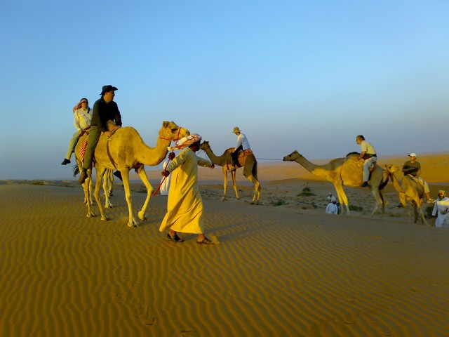 Safari Camp